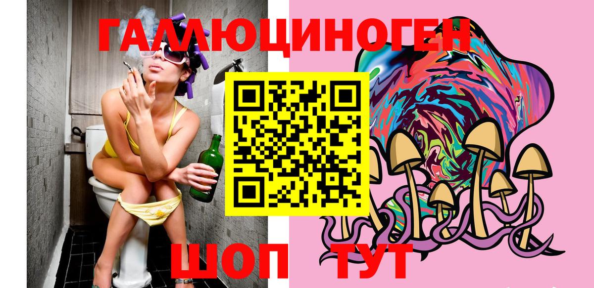 Псилоцибиновые грибы Psilocybine cubensis  Вход с VPN  Лесозаводск  Псилоцибиновые грибы прущие грибы 