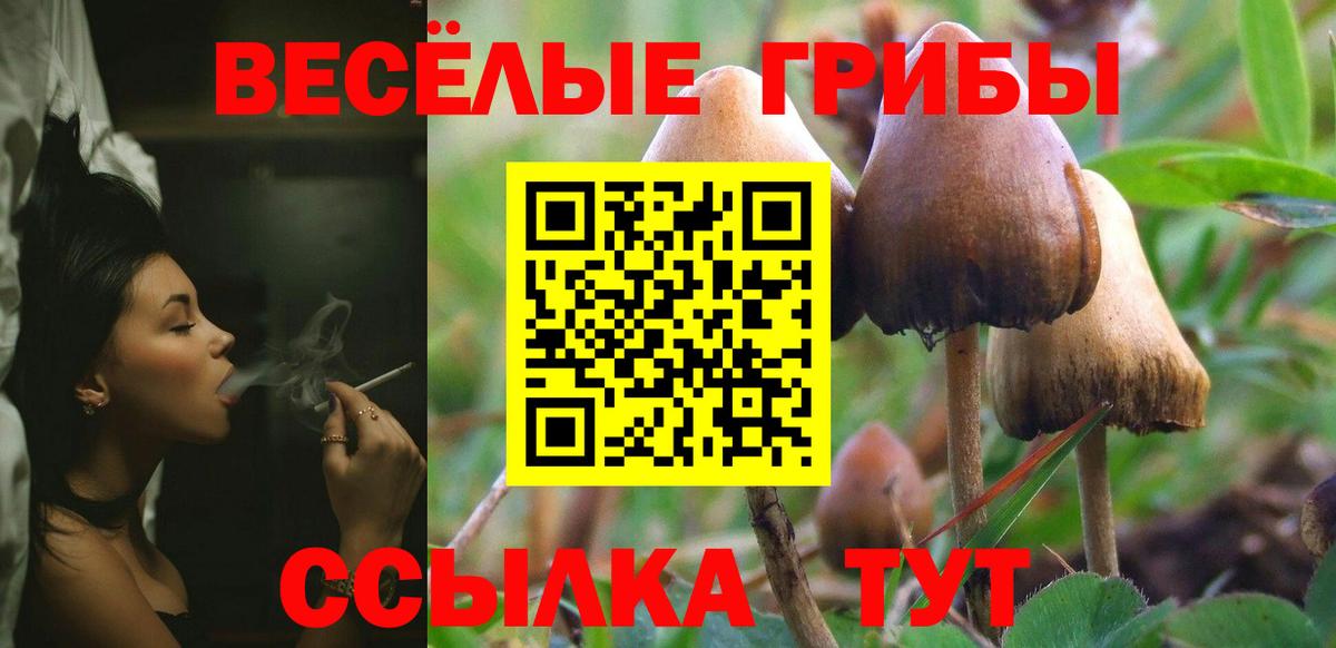 Галлюциногенные грибы мицелий Лесозаводск
